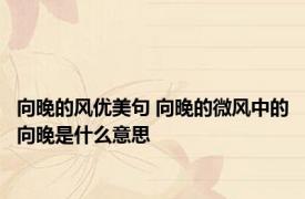 向晚的风优美句 向晚的微风中的向晚是什么意思