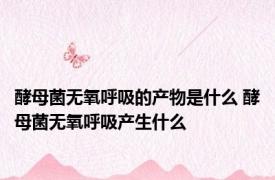 酵母菌无氧呼吸的产物是什么 酵母菌无氧呼吸产生什么