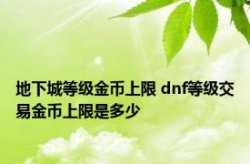 地下城等级金币上限 dnf等级交易金币上限是多少