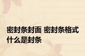 密封条封面 密封条格式 什么是封条