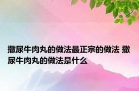 撒尿牛肉丸的做法最正宗的做法 撒尿牛肉丸的做法是什么