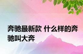 奔驰最新款 什么样的奔驰叫大奔