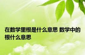 在数学里根是什么意思 数学中的根什么意思