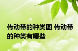 传动带的种类图 传动带的种类有哪些