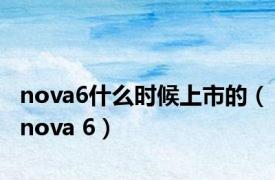 nova6什么时候上市的（nova 6）