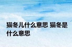 猫冬儿什么意思 猫冬是什么意思