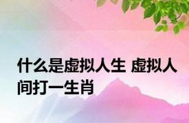 什么是虚拟人生 虚拟人间打一生肖