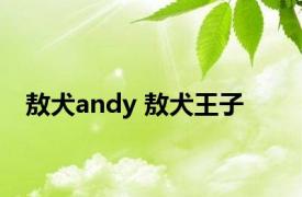 敖犬andy 敖犬王子 