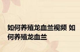 如何养殖龙血兰视频 如何养殖龙血兰