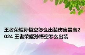王者荣耀孙悟空怎么出装伤害最高2024 王者荣耀孙悟空怎么出装