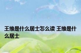 王维是什么居士怎么读 王维是什么居士