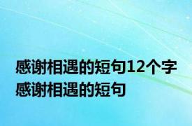 感谢相遇的短句12个字 感谢相遇的短句