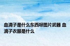 血滴子是什么东西呀图片武器 血滴子衣服是什么