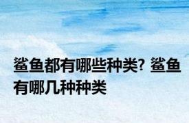 鲨鱼都有哪些种类? 鲨鱼有哪几种种类