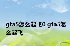 gta5怎么起飞0 gta5怎么起飞