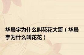 华晨宇为什么叫花花大哥（华晨宇为什么叫花花）