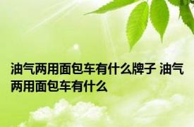 油气两用面包车有什么牌子 油气两用面包车有什么