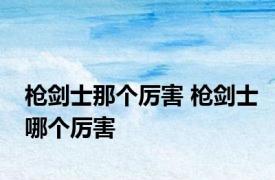 枪剑士那个厉害 枪剑士哪个厉害