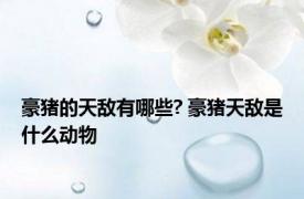 豪猪的天敌有哪些? 豪猪天敌是什么动物