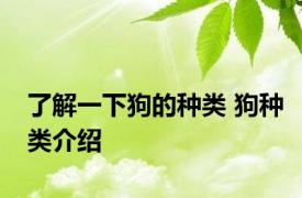 了解一下狗的种类 狗种类介绍