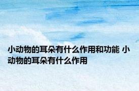 小动物的耳朵有什么作用和功能 小动物的耳朵有什么作用