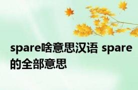 spare啥意思汉语 spare的全部意思