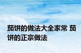 茄饼的做法大全家常 茄饼的正宗做法