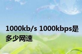 1000kb/s 1000kbps是多少网速