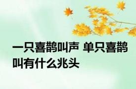 一只喜鹊叫声 单只喜鹊叫有什么兆头