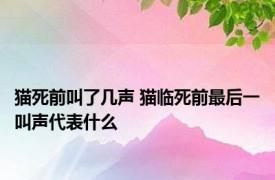 猫死前叫了几声 猫临死前最后一叫声代表什么