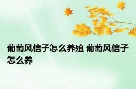 葡萄风信子怎么养殖 葡萄风信子怎么养