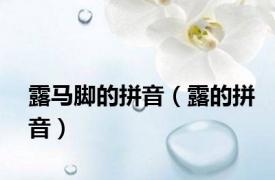 露马脚的拼音（露的拼音）