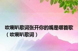 吹喇叭歌词张开你的嘴是哪首歌（吹喇叭歌词）