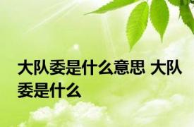 大队委是什么意思 大队委是什么