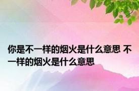 你是不一样的烟火是什么意思 不一样的烟火是什么意思