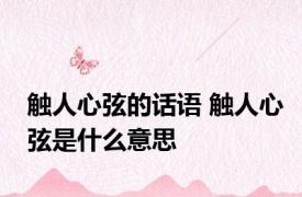 触人心弦的话语 触人心弦是什么意思