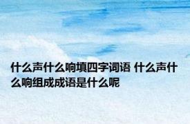 什么声什么响填四字词语 什么声什么响组成成语是什么呢