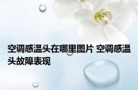 空调感温头在哪里图片 空调感温头故障表现