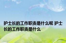 护士长的工作职责是什么呢 护士长的工作职责是什么