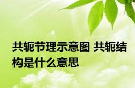 共轭节理示意图 共轭结构是什么意思