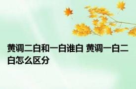 黄调二白和一白谁白 黄调一白二白怎么区分