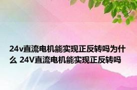 24v直流电机能实现正反转吗为什么 24V直流电机能实现正反转吗