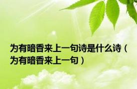 为有暗香来上一句诗是什么诗（为有暗香来上一句）