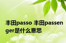 丰田passo 丰田passenger是什么意思