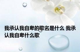 我承认我自卑的歌名是什么 我承认我自卑什么歌