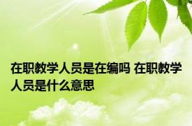 在职教学人员是在编吗 在职教学人员是什么意思
