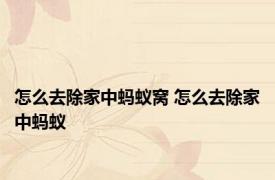 怎么去除家中蚂蚁窝 怎么去除家中蚂蚁