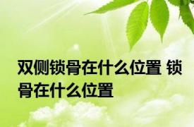 双侧锁骨在什么位置 锁骨在什么位置