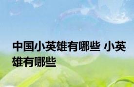 中国小英雄有哪些 小英雄有哪些
