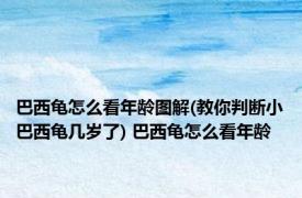 巴西龟怎么看年龄图解(教你判断小巴西龟几岁了) 巴西龟怎么看年龄
